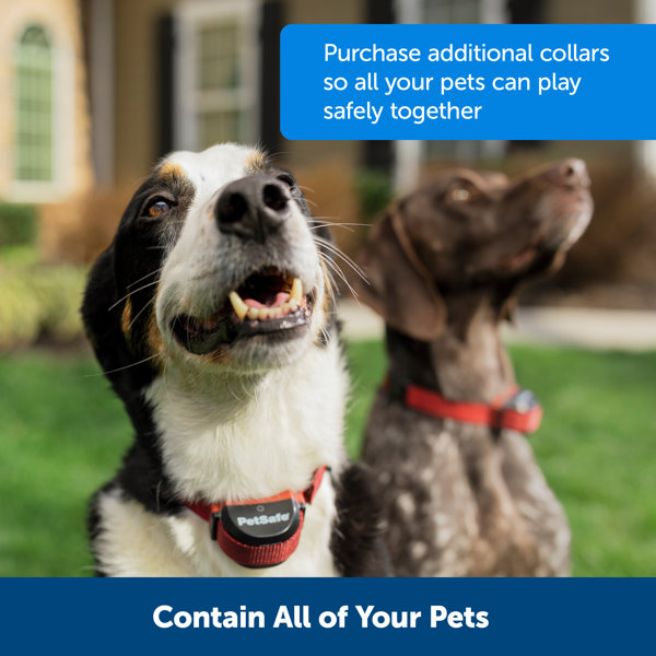PetSafe® Stay + Play Wireless Fence Stubborn Dog Containment System